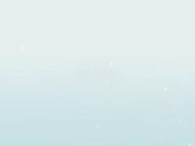 q播万